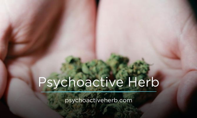 PsychoactiveHerb.com